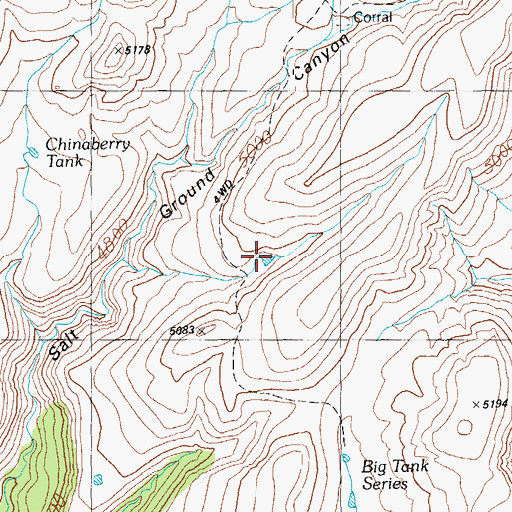 Topographic Map of Chinaberry Tank, AZ