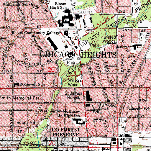 Topographic Map of Wilson Woods, IL