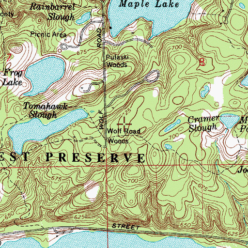 Topographic Map of Wolf Road Woods, IL
