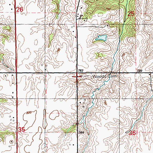 Topographic Map of Woods Cemetery, IL