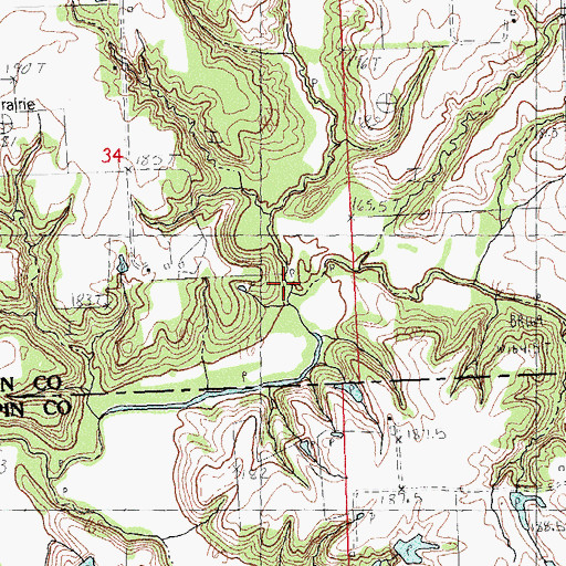 Topographic Map of Woods Creek, IL