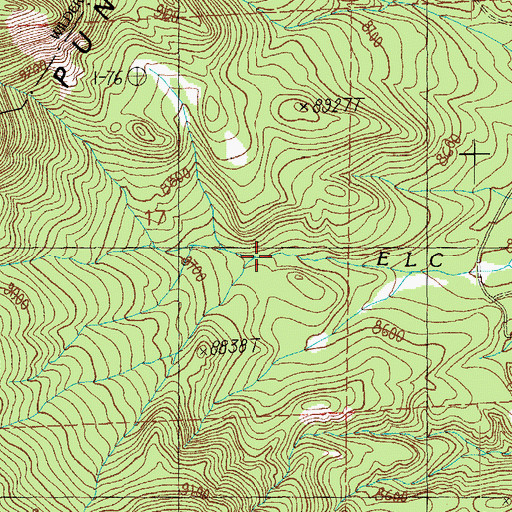 Topographic Map of Punchbowl Spring, AZ