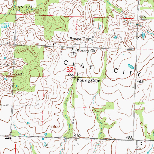 Topographic Map of Young Cemetery, IL