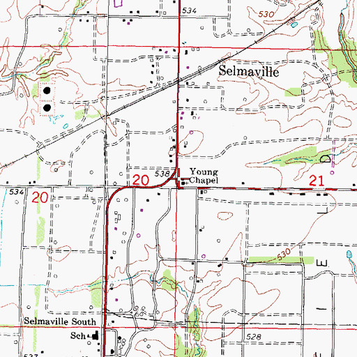 Topographic Map of Youngs Chapel Christian Church, IL