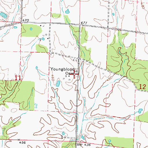 Topographic Map of Youngblood Cemetery, IL