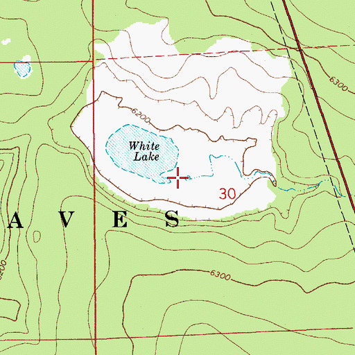 Topographic Map of White Lake Tank, AZ