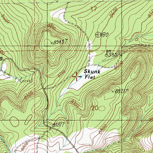 Topographic Map of Skunk Flat Tank, AZ