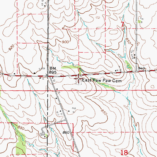 Topographic Map of East Paw Paw Cemetery, IL