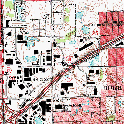 Topographic Map of Gower School, IL