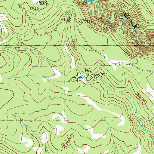 Topographic Map of Duck Corral Tank, AZ