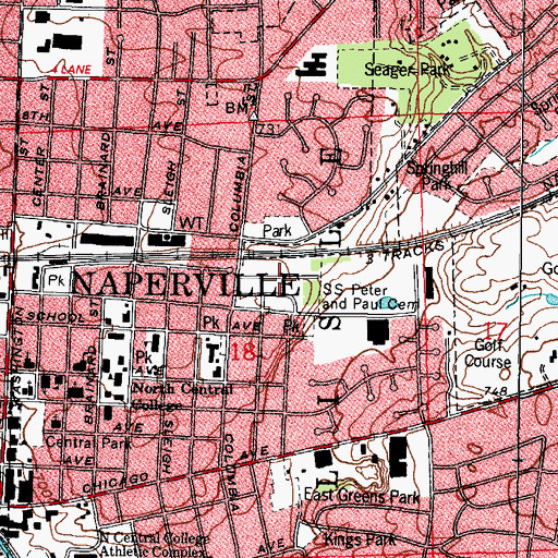 Topographic Map of Saints Peter and Paul Cemetery, IL
