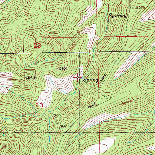 Topographic Map of Pigeon Canyon Spring, AZ