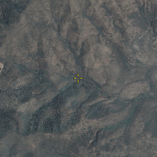 Aerial/Satellite Image of Sardine Saddle Spring, AZ
