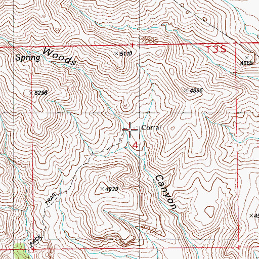 Topographic Map of Wood Spring Corral, AZ