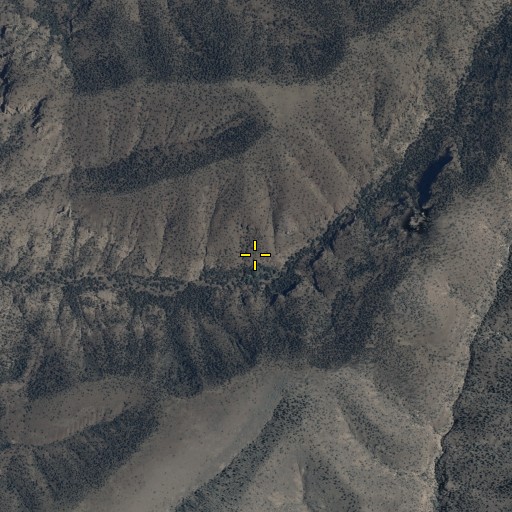 Aerial/Satellite Image of Mud Springs Corral, AZ