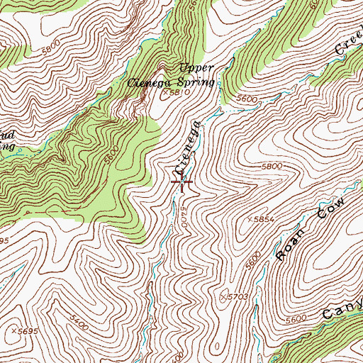 Topographic Map of Upper Cienega Corral, AZ