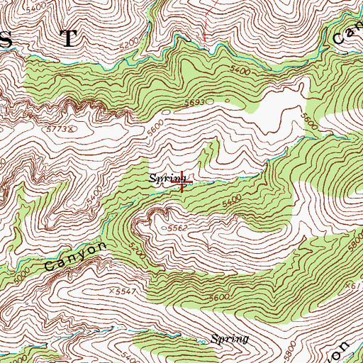 Topographic Map of Wild Bunch Spring, AZ