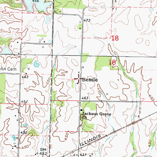 Topographic Map of Bessie, IL
