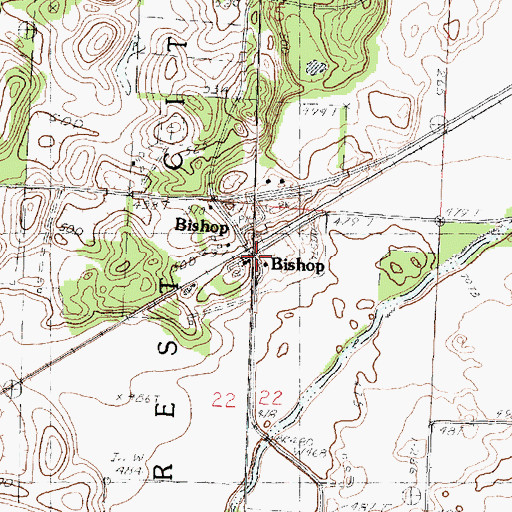 Topographic Map of Bishop, IL