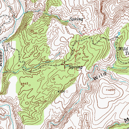 Topographic Map of Fritz Spring, AZ