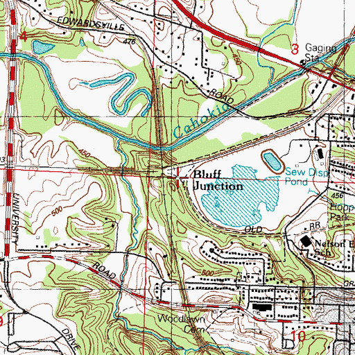 Topographic Map of Bluff Junction, IL