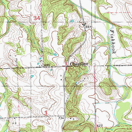 Topographic Map of Chestline, IL