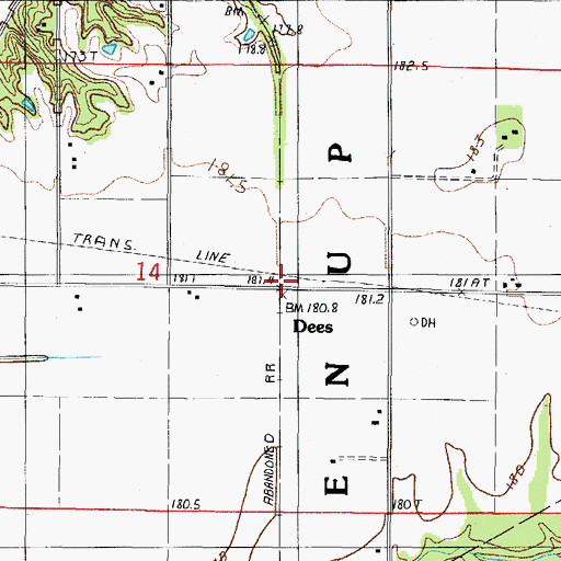 Topographic Map of Dees, IL