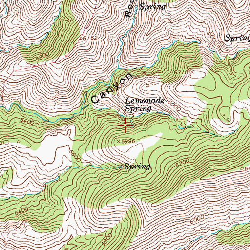 Topographic Map of Fish Spring, AZ