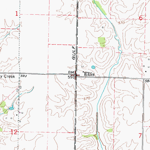 Topographic Map of Ellis, IL