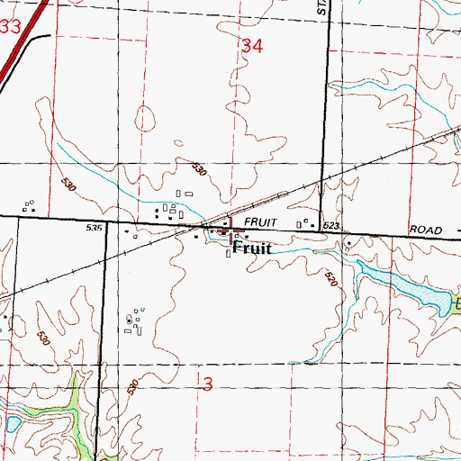 Topographic Map of Fruit, IL