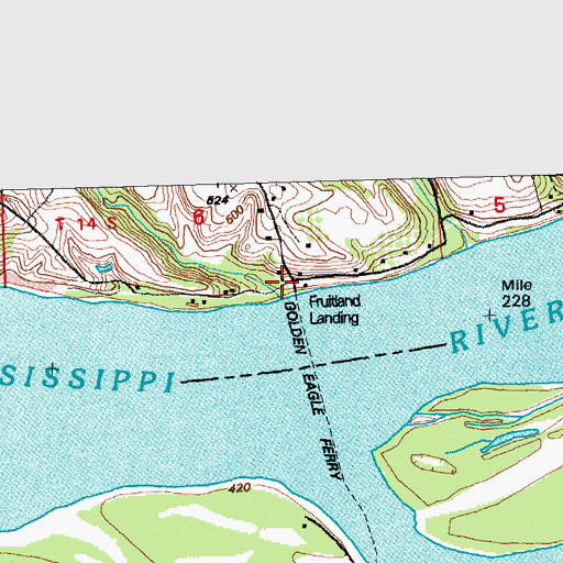 Topographic Map of Fruitland Landing, IL
