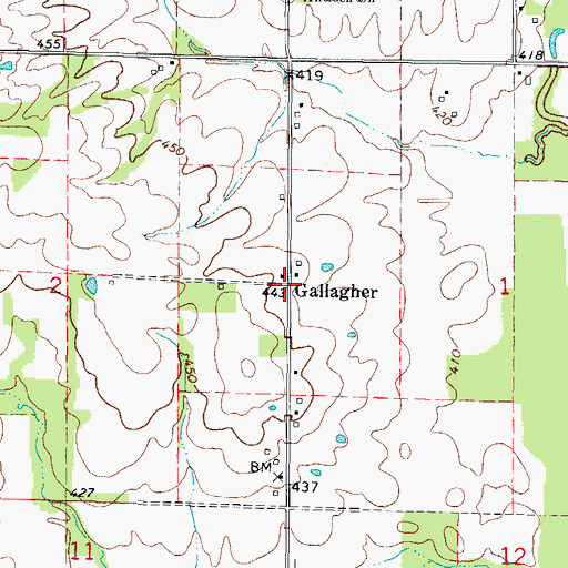 Topographic Map of Gallagher, IL