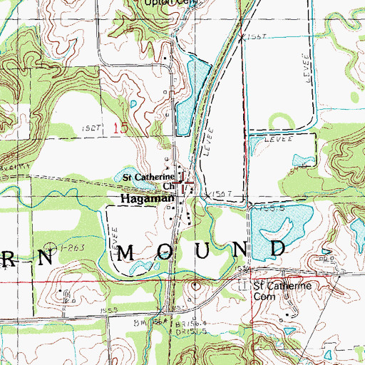 Topographic Map of Hagaman, IL