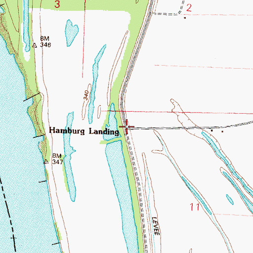 Topographic Map of Hamburg Landing, IL