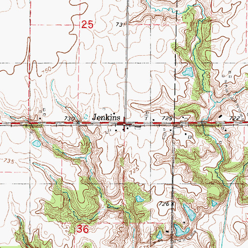 Topographic Map of Jenkins, IL