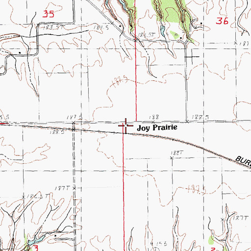 Topographic Map of Joy Prairie, IL