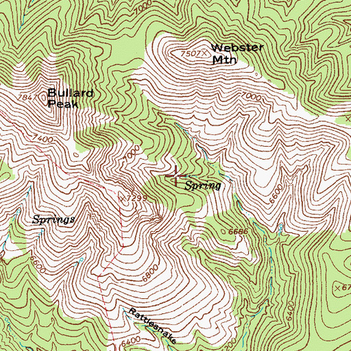 Topographic Map of Section Twenty-nine Spring, AZ