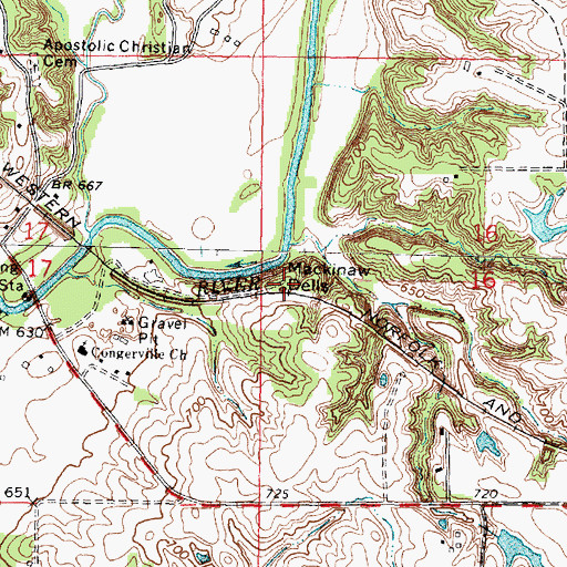 Topographic Map of Mackinaw Dells, IL
