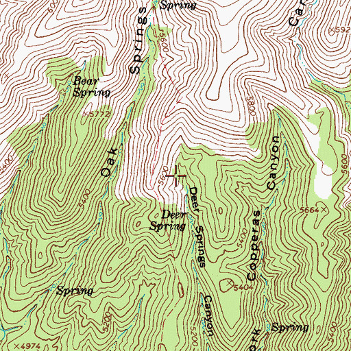 Topographic Map of Wildbunch Spring, AZ