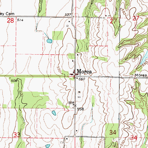 Topographic Map of Morea, IL