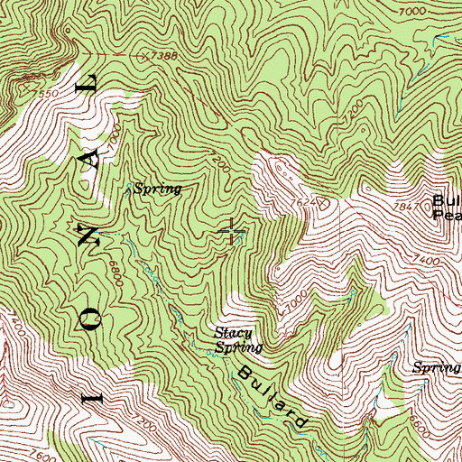 Topographic Map of BS Spring, AZ