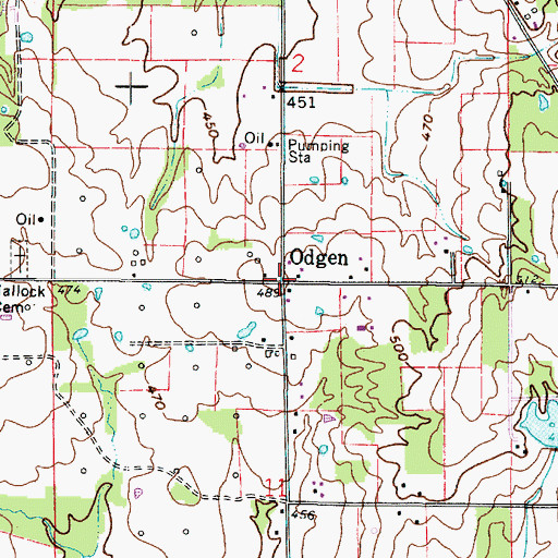 Topographic Map of Odgen, IL