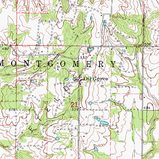 Topographic Map of Oil Grove, IL
