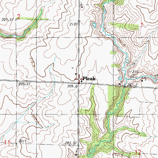 Topographic Map of Pleak, IL
