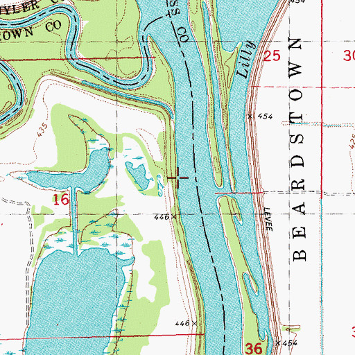 Topographic Map of Reich Landing, IL