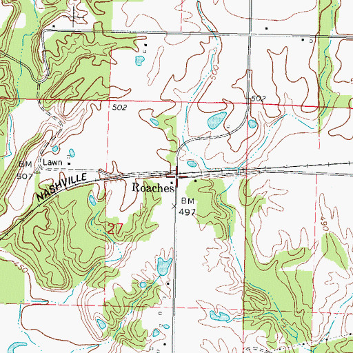 Topographic Map of Roaches, IL