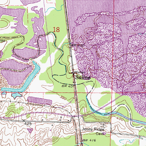 Topographic Map of Saline, IL