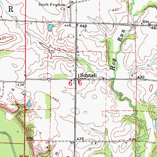 Topographic Map of Schnell, IL