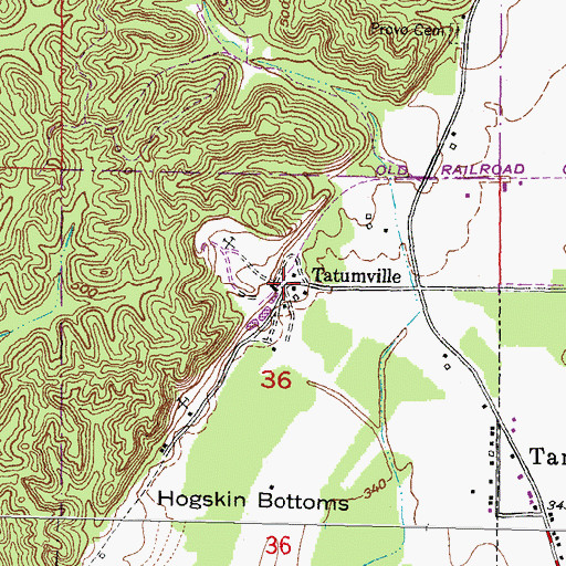 Topographic Map of Tatumville, IL