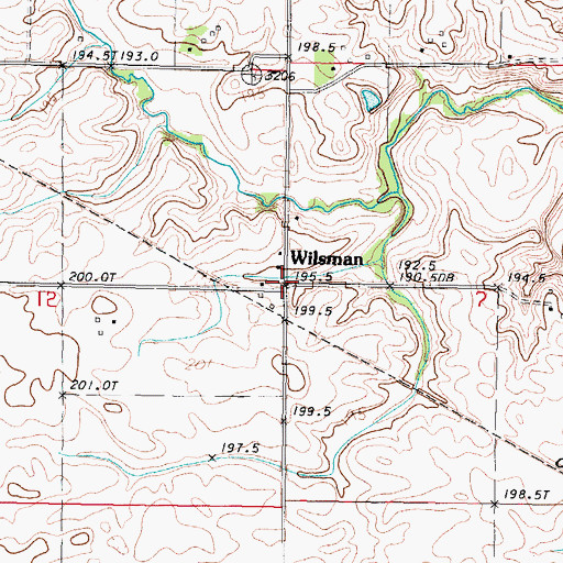 Topographic Map of Wilsman, IL